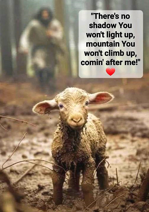 ApostleManuel's tweet photo. That was me in the mud. https://t.co/eoO18unD4t