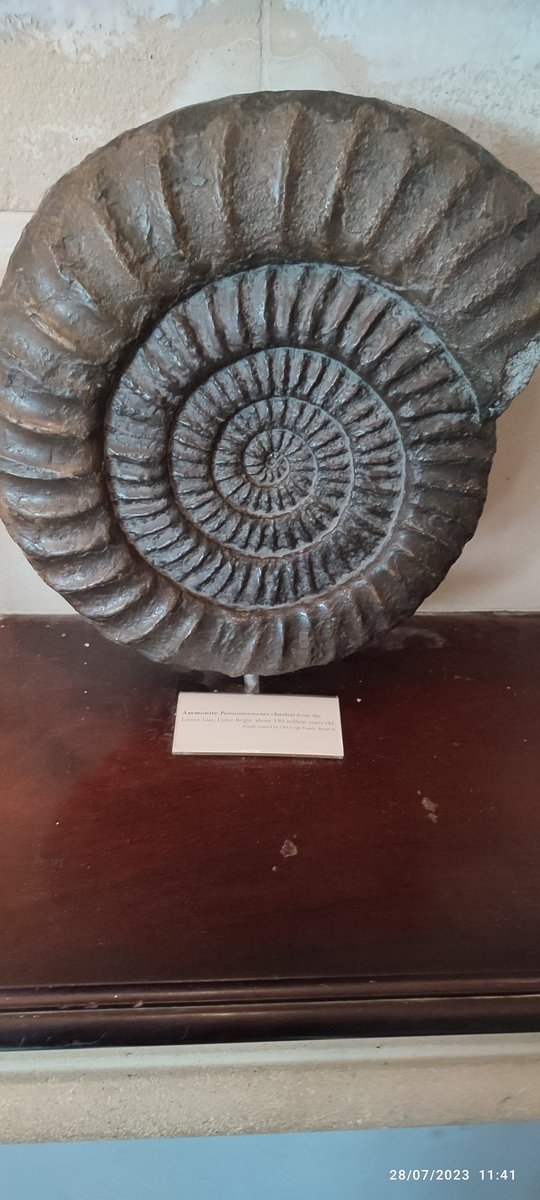 cool dude 😎😎 (@neilharley47838) on Twitter photo 