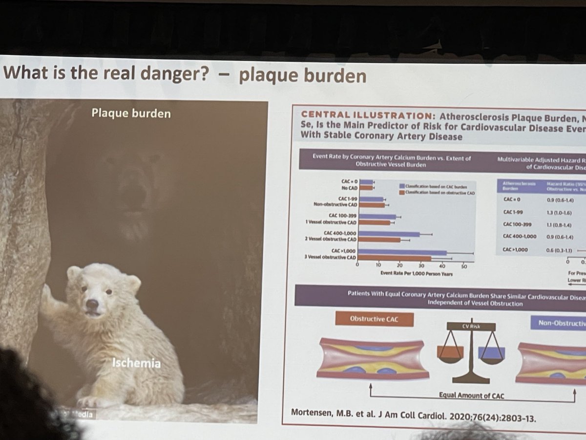 ⁦@Doc_Tiger⁩ illustrating a great analogy with ischemia and plaque burden #SCCT2023 ⁦@Heart_SCCT⁩