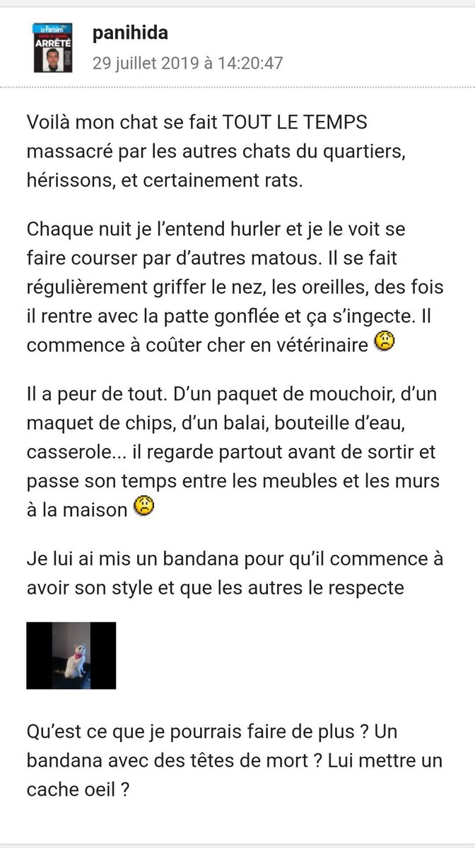 TopDesTwittos's tweet photo. Il y a 4 ans sur le JVC, jour pour jour https://t.co/S8upsGo6EQ
