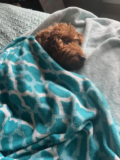 Promo_Champs's tweet image. Lazy Saturday for Stormi.
