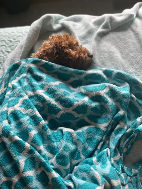 Promo_Champs's tweet image. Lazy Saturday for Stormi.