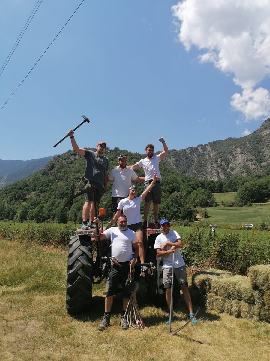 jesus_anas's tweet photo. 1a Olimpiada Pallares a a Ainet de Cardos. Ganadores Vall de Cardos de dos en dos.
Costaba de diversas pruebas: partir leña, cortar yerba, apilar paquas y estirar de la cuerda.
@pallarsdigital 
Felicidades a la organización y participantes https://t.co/yfoRnhhHA9