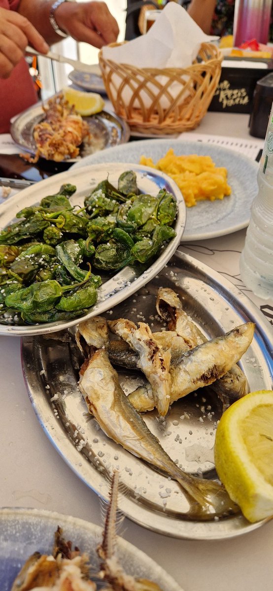 Lunch of Sardines, Calamari, Tortilla (Spanish Omlete) &amp; Padrón Peppers (we are just 40 mins from Padrón). Recommend Padrón peppers, not hot (although rarely you may find one with some heat) &amp; have a savoury sweetness.  Here they use a lot of salt and it's absolutely delicious.