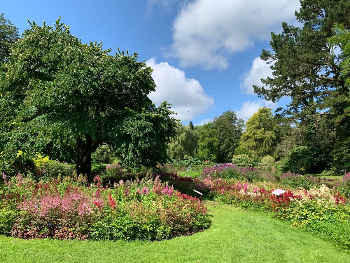 While we're not sure what has happened to all of the sunshine, we are a little bit obsessed with the snippets of blue skies we're getting this month! All of the rain is making the garden look particularly beautiful at the moment, especially the National Collection of Astilbes!