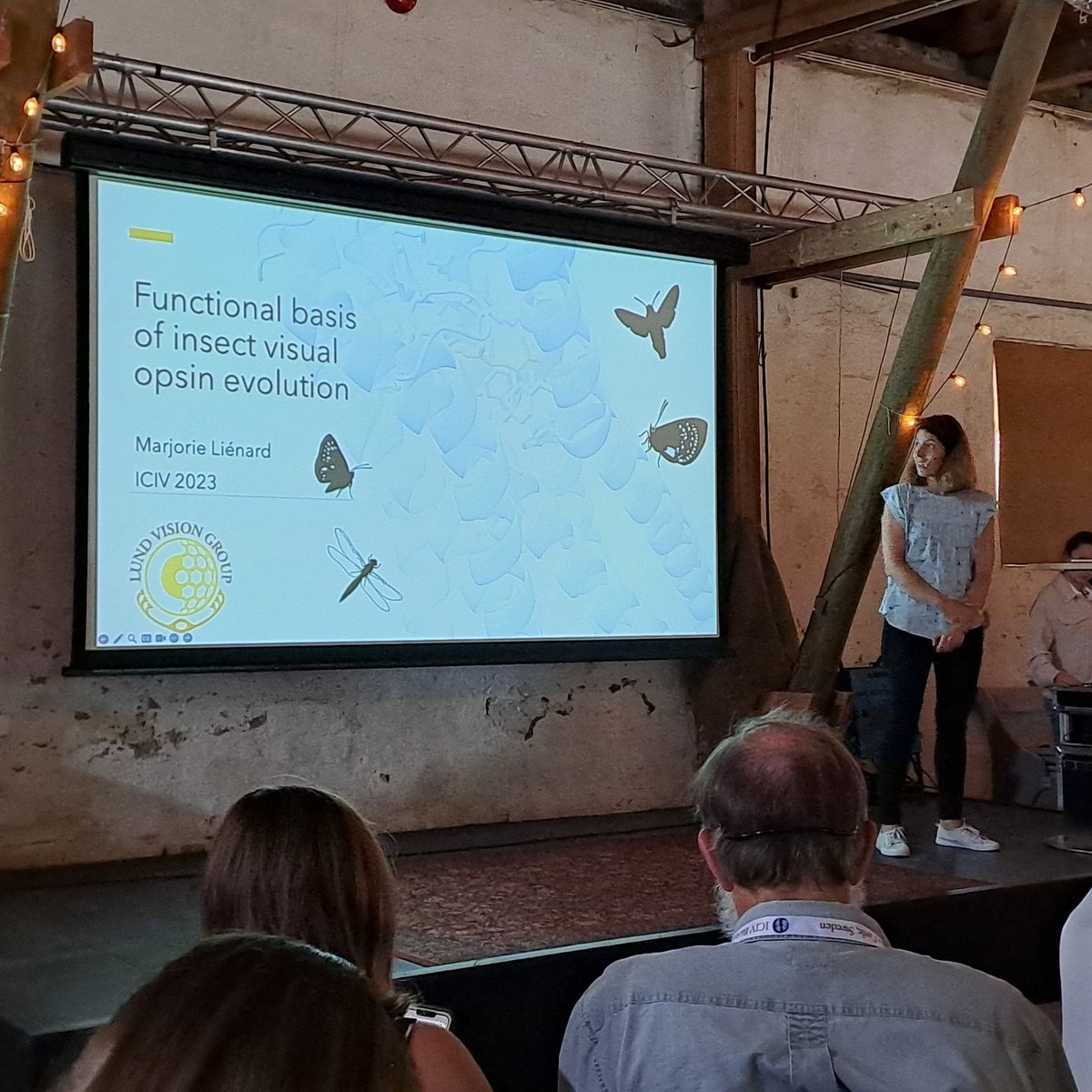 Pauline N. Fleischmann (@cataglyfilosofi) on Twitter photo @neuroethology Today's afternoon session is opened with a talk by <a href="/MarjorieLienard/">Marjorie Lienard (she/her)</a> from <a href="/LundVision/">Lund Vision Group</a> about the "Functional basis of #insect visual #opsin #evolution" 🦋 @neuroethology Today's afternoon session is opened with a talk by <a href="/MarjorieLienard/">Marjorie Lienard (she/her)</a> from <a href="/LundVision/">Lund Vision Group</a> about the "Functional basis of #insect visual #opsin #evolution" 🦋