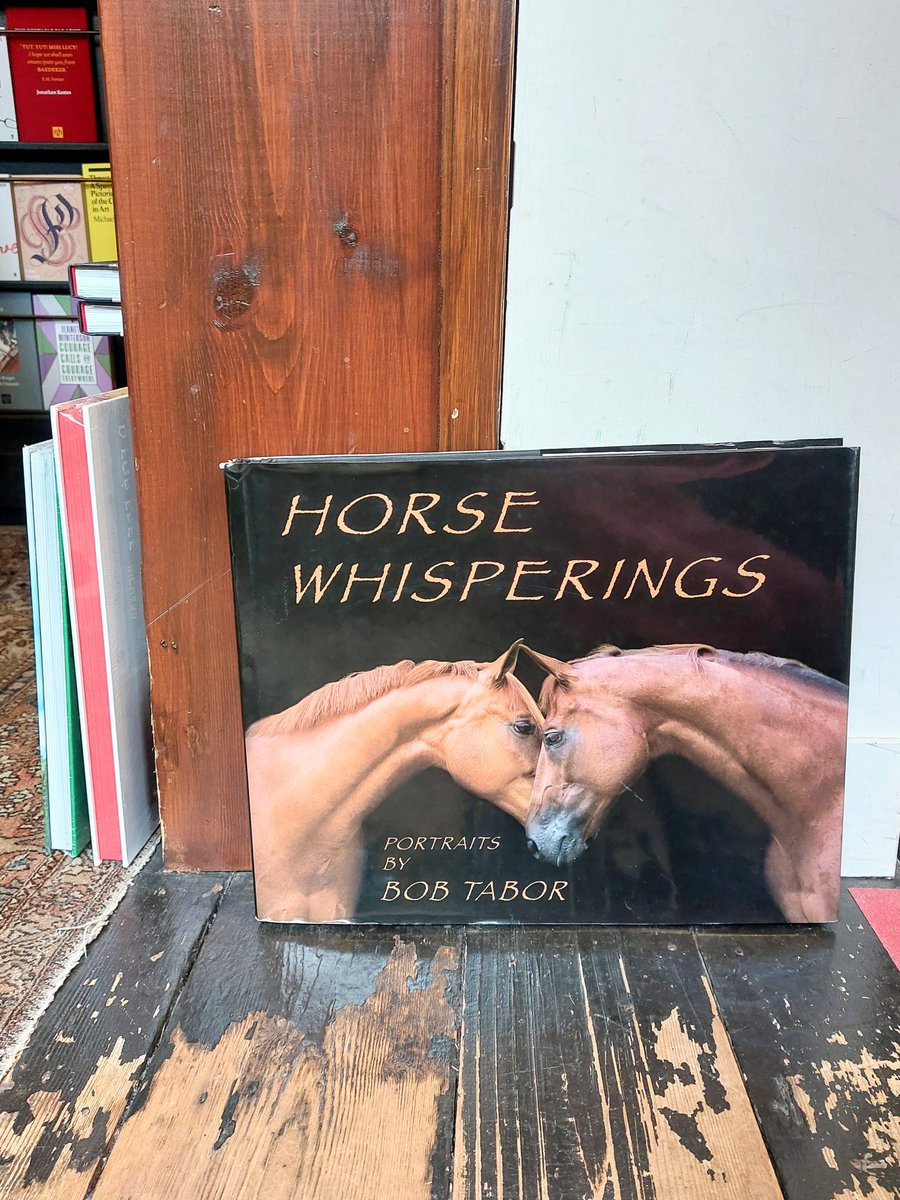 If you, like Ryan Gosling, think it's better to have BOOKS than BOOK, don't worry - we at JSB have Kenough reading material for all📚🐴👠