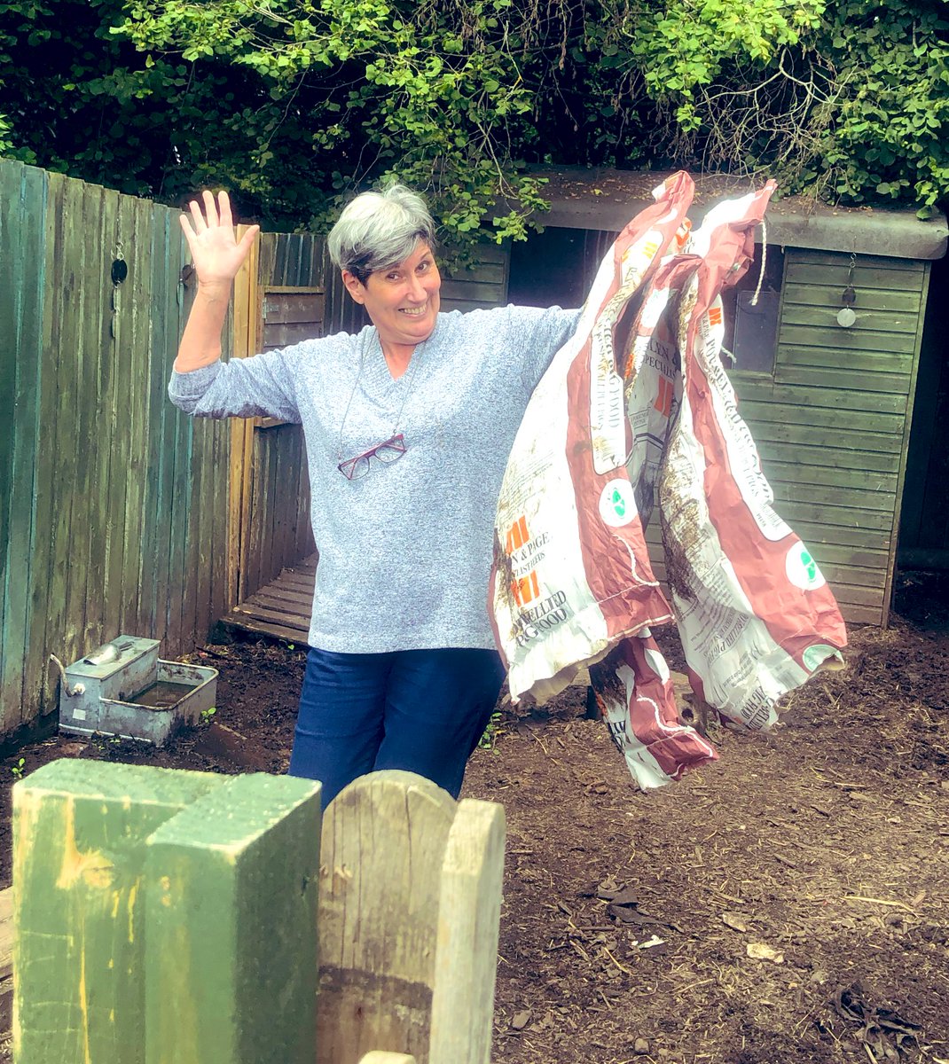 The Waterside Pigs tweet media