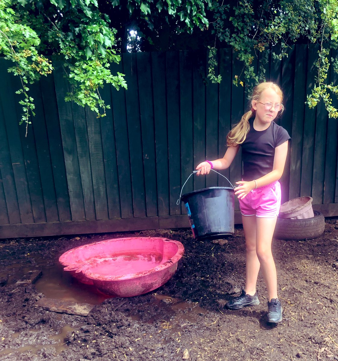 The Waterside Pigs tweet media