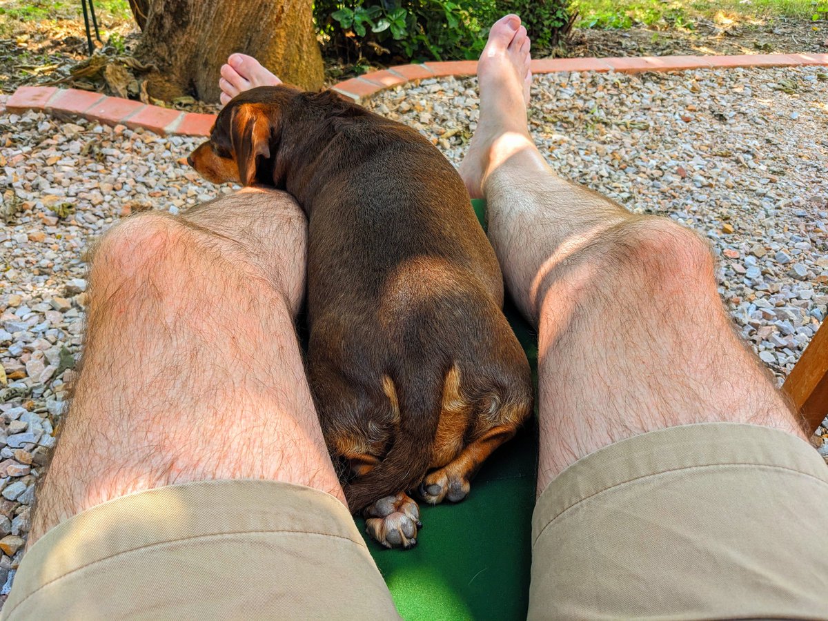 faulknerdrew's tweet photo. HippoDog snoozing with me in the shade.
#insufferableheat #GlobalBoiling #TimeforBeer https://t.co/TMJPUQo1hO