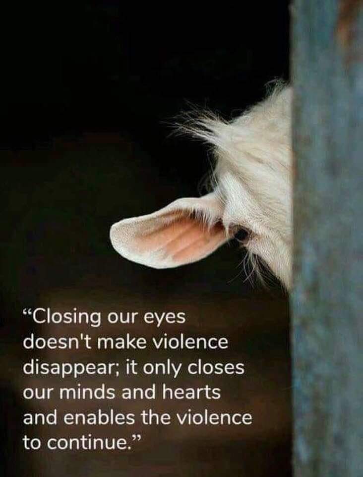 Please don't look away, and don't pay for someone else to do what you probably couldn't yourself.  GO VEGAN FOR THE ANIMALS 💚🐑🐮🐷🌿