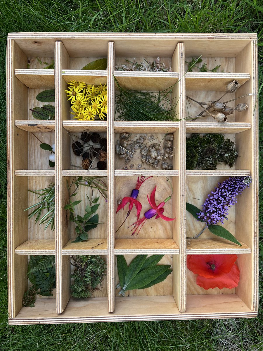 earlyyears2022's tweet photo. It’s a sorting kind of day with one of our @cosydirect tinker trays! #cosydirect #tinkertray #sorting #nature #outdoors https://t.co/VjkjgthW7G