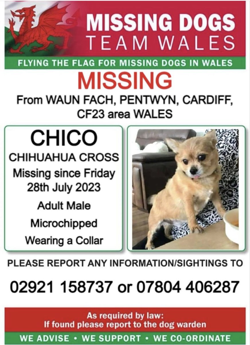 missingdogwales's tweet photo. ‼️CAN THE TEENAGERS SEEN TAKING CHICO  AWAY YESTERDAY FROM THE AREA PLEASE MAKE CONTACT WITH OWNER ASAP ‼️
THEY WERE SEEN ON DASHCAM HEADING TOWARDS THE HOUSING ESTATE AT PENTWYN PARK .‼️

💥POLICE HAVE NOW  BEEN INFORMED. please call the numbers on this poster please https://t.co/h4viHtKELQ