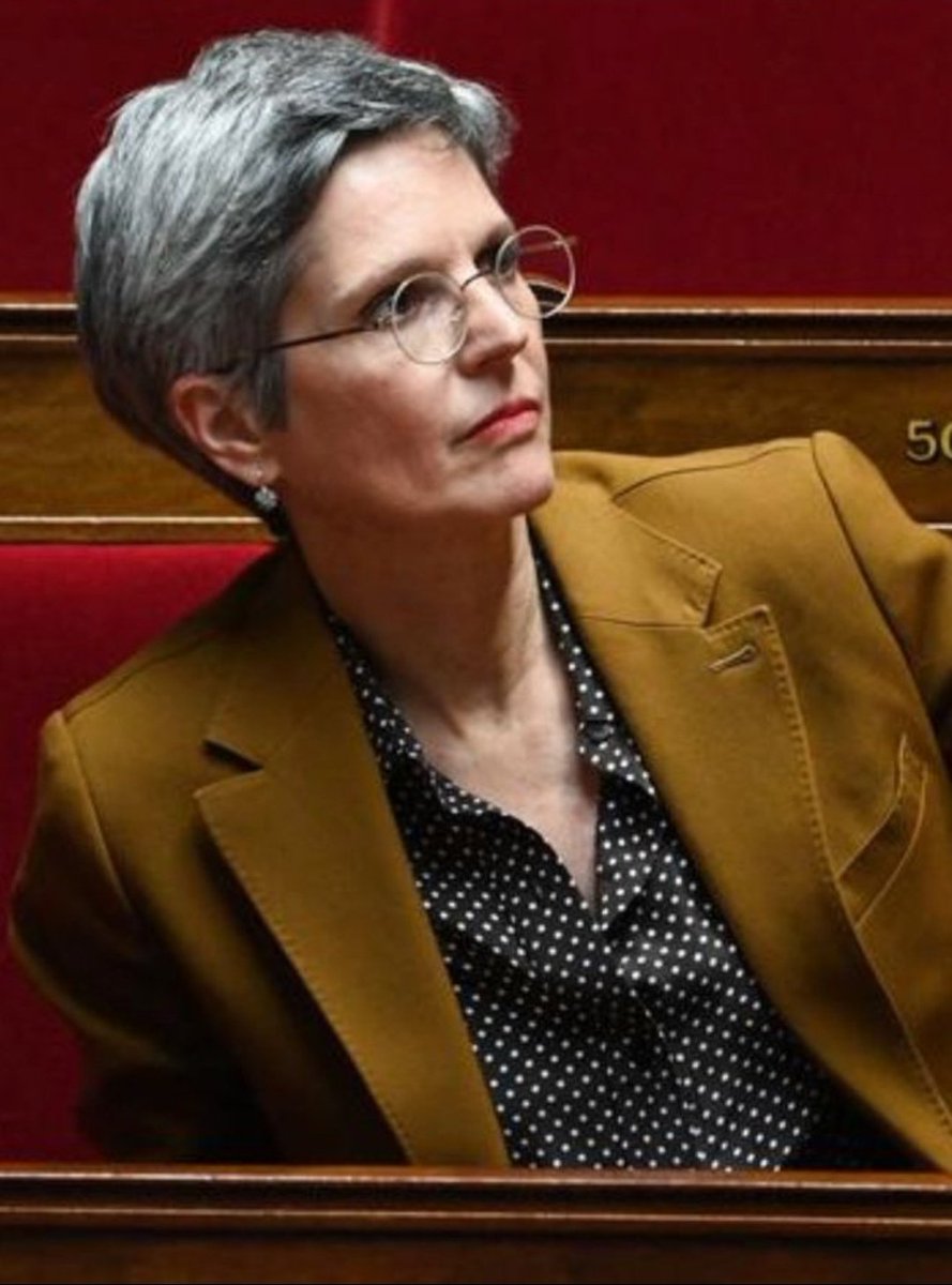 Nous sommes le 29 juillet 2023.
Cela fait donc 405 jours que cette usurpatrice, élue après  présentation de faux documents, siège à l'AN.
Elle a donc pour l'heure frauduleusement palpé environ 84 000 €, tout en donnant des leçons de savoir-vivre à tout le monde. #Rousseau