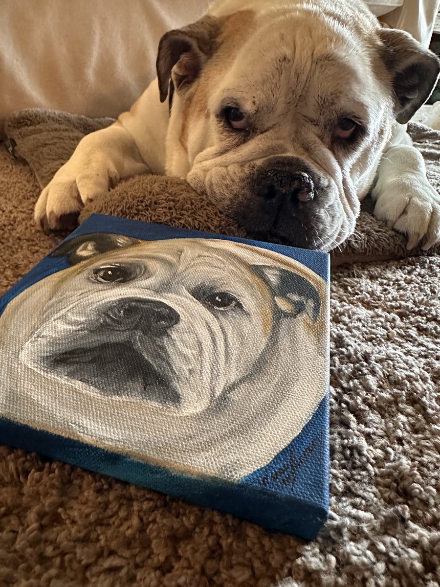 Gracie Sunshine tweet media