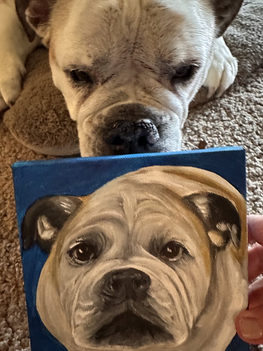 Gracie Sunshine tweet media