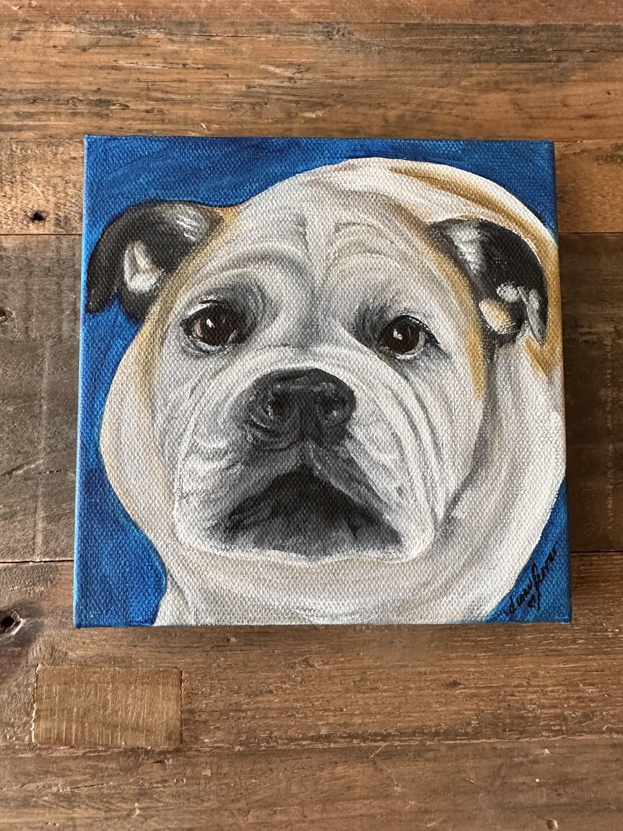 Gracie Sunshine tweet media