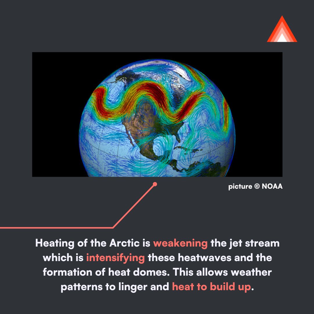 Arctic Basecamp tweet media