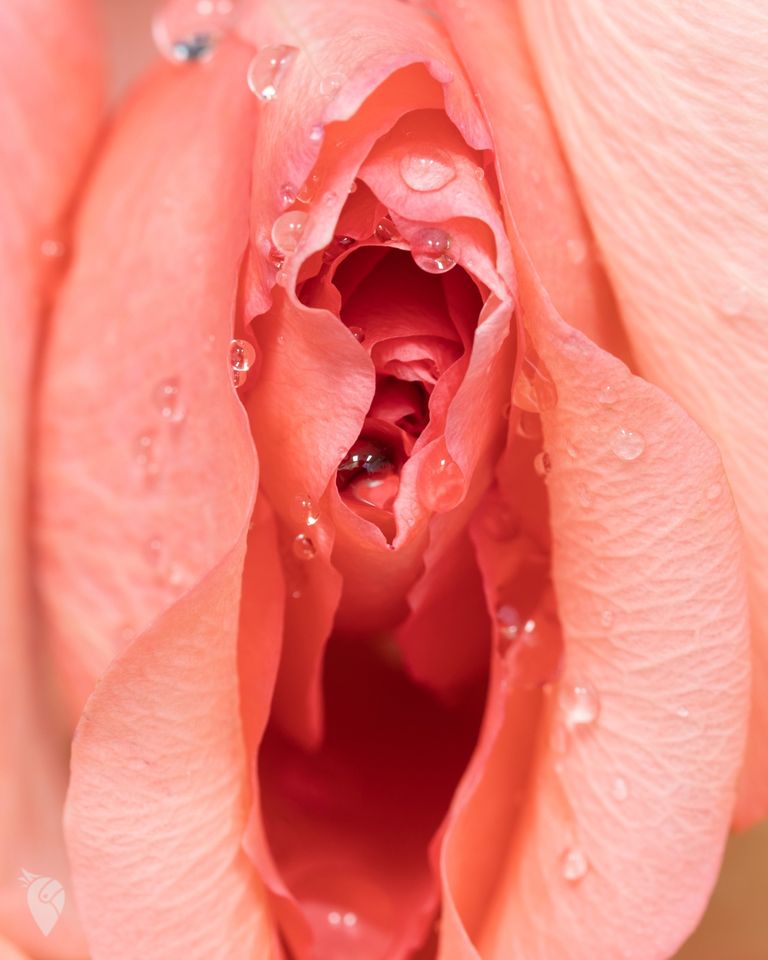 🏩🔞 Und wenn euch erotische Hotelzimmer interessieren, hätten wir hier noch eine kleine Übersicht: 
👉 l.urlaubspiraten.de/ufS7b