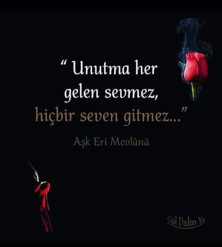 mavi5050's tweet photo. 🍂
Sevgili Soytarı İşi,
Bizim Sevdiğimiz Olur.
Aşkım Demem Ben Sana,
Adın Nefesim Olur.
Aşksız Yaşarda İnsan
Nefessiz Yaşayanmı Olur?. https://t.co/fLxiDVyTqd
