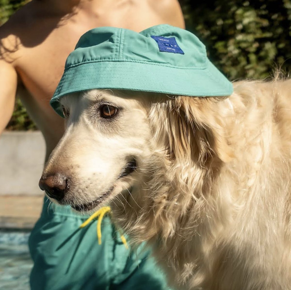 markssafespace's tweet image. my two favorite cloak models 🫶