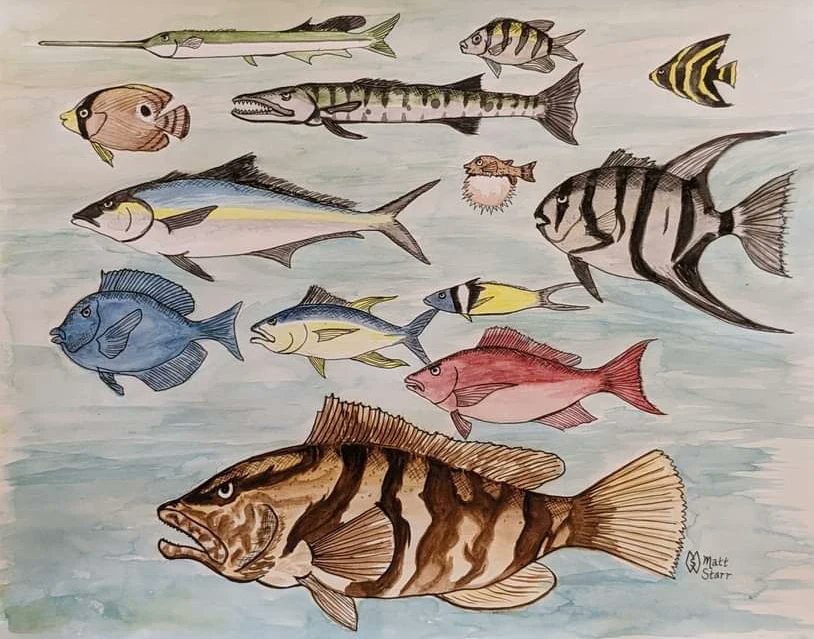 MattStarrFineA1's tweet photo. This is my watercolor and ink painting of a variety of fish from the sea. https://t.co/XNYsVfmEM2
#mattstarrfineart #art #artoftheday #fish #saltwaterfish #fishing #seafood #ocean #sea #pufferfish #angelfish #amberjack #bluetang #redsnapper #grouper #barracuda #spadefish https://t.co/lZDluaAHN0