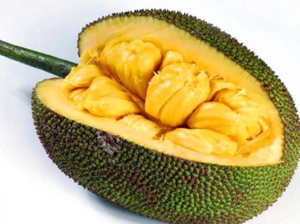 Guaraná Antarctica tweet media