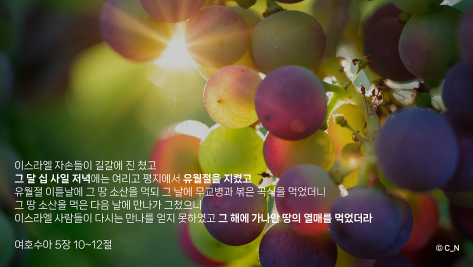 somfur0505's tweet photo. #어머니하나님 을 믿는 #하나님의교회

성경의 예언을 통해서 우리가 살고 있는 이 시대가 어느시대인지를 깨달을 수 있습니다

가나안을 들어가기 직전 지켰던 유월절을 통해
이 시대 우리가 유월절을 지키는 시기는 천국에 정말 가까워져 있다는 뜻입니다

유월절 지키고 함께 천국가요 https://t.co/VbI8dKgExg