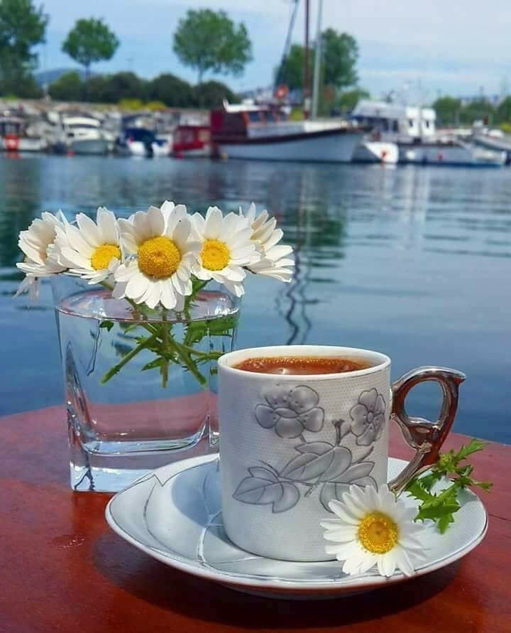 Mitsue Butler 💍💖💎🎀 tweet media