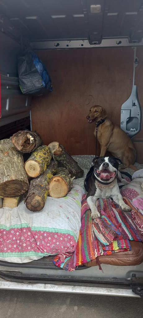 Diannejojo10's tweet image. Hunter gatherer and dog walk at same time #freeheat #logburner