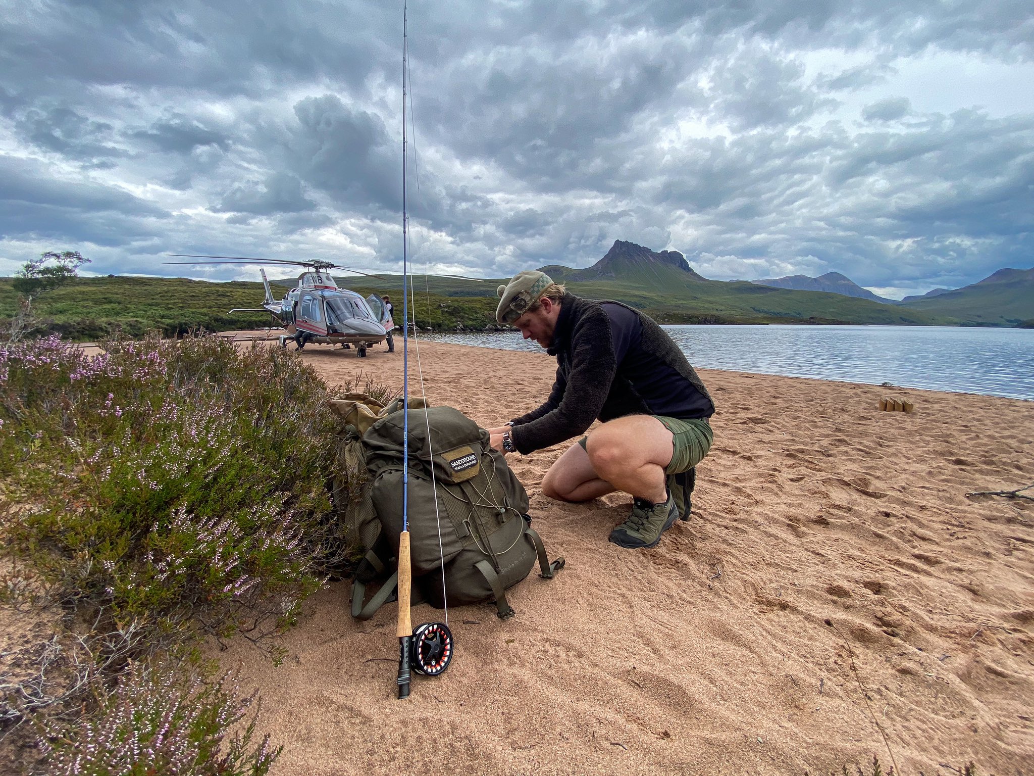 Sandgrouse Travel