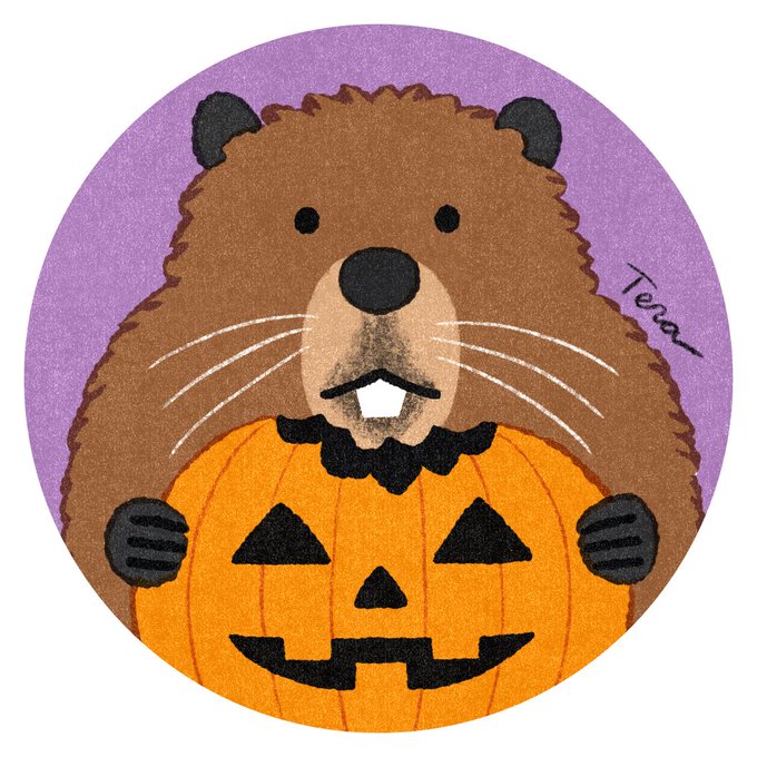 \ SNS用のアイコン制作 /  ご依頼内容:ビーバーがハロウィンかぼちゃを齧っているところ。  なんと、ご依頼主が元ビーバーの飼育員さんでした。ビーバーの特徴を教えていただきました。