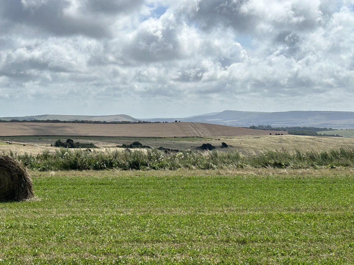 SimonJDent's tweet image. Great morning at ⁦@MaverickRace⁩ in Brighton. Good to be out on the trails #Maverick #Fuelbetter #Veloforte #Trails