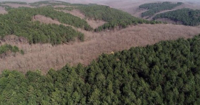 Erken seçim şart!

Orman köylüsünün suçlu, ormanı yok edenin haklı olduğu adaletsizliğe son vermek için;

#ErkenSeçim şart!