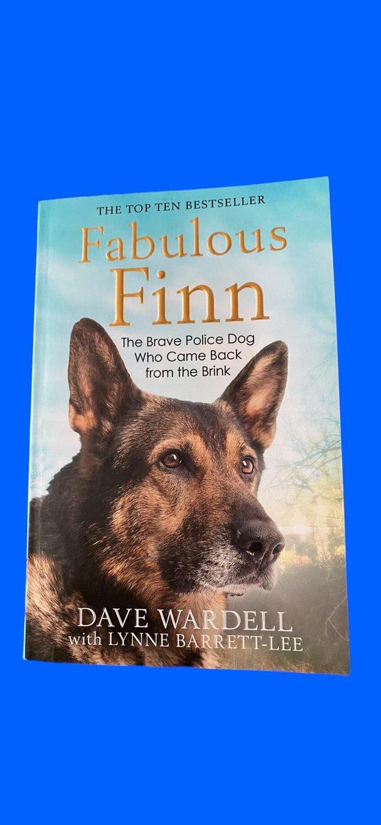 Hero Police Dog #FabulousFinn made the world a better place.
#FinnsLaw and #FinnsLawPart2 gave greater protection for service animals across UK.
Beautiful Finn left us such a Beautiful Legacy.
@K9Finn @ThinBluePaw 
💙🐾💕💙
#Hero #GermanShepherd  #PoliceDog