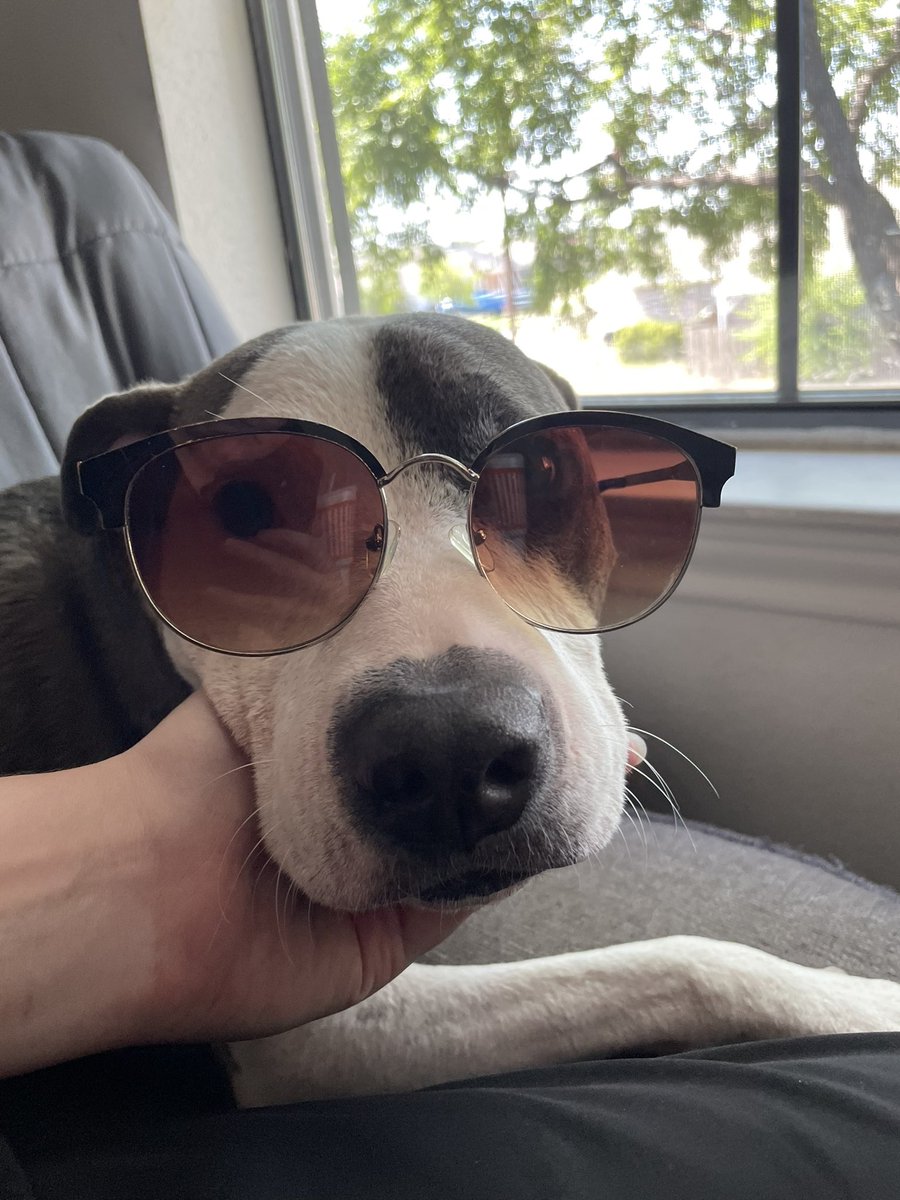 kaitlinbordelon's tweet photo. forgot to post my hippo’s glamour photos ❤️ https://t.co/PguuxMzsnZ
