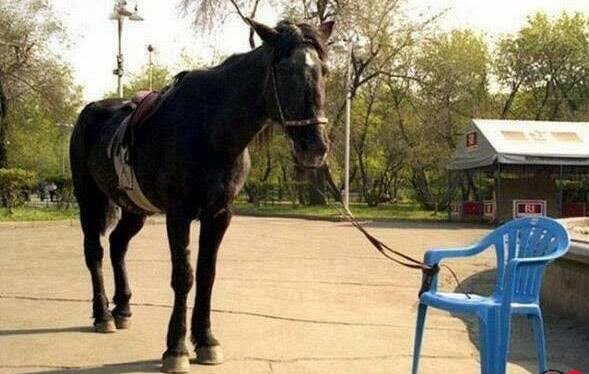 <a href="/KirazZaman/">Sedef</a> Gonderdiginiz yaziyi okudum. Bir dergide cikan, hic bir dayanagi ve verisi olmayan bir fikir yazisini alip tercume edip aynen yayinlamislar. Bilim ve teknik dergisi ( ki cocuklugumdan beri okurum ) tek yaptiklari tercumedir. Carl Sagan gibi SOZDE bilim soytarilarini kendisine