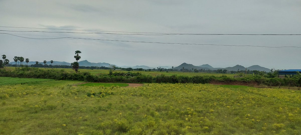 abhayapanda16's tweet photo. “One touch of nature makes the whole world kin.” –William Shakespeare.
#nature #Village #RainyDay
#photography https://t.co/BmOwguI6G8