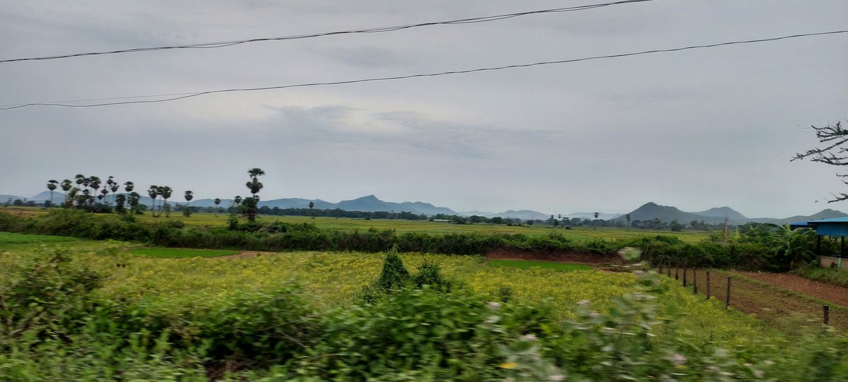 abhayapanda16's tweet photo. “One touch of nature makes the whole world kin.” –William Shakespeare.
#nature #Village #RainyDay
#photography https://t.co/BmOwguI6G8
