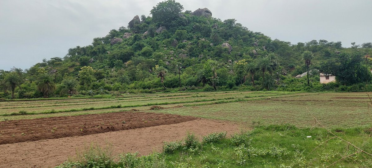 abhayapanda16's tweet photo. “One touch of nature makes the whole world kin.” –William Shakespeare.
#nature #Village #RainyDay
#photography https://t.co/BmOwguI6G8