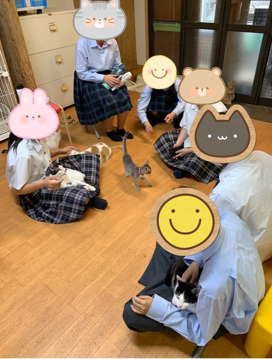 TambaNpo's tweet photo. 氷上西高校1年生グループ6名
にゃん✖︎ハピさん

探究の授業の中で丹波市の動物殺処分をゼロにする、保護猫について人々に知ってもらうことを目標に活動をされています。

にゃん✖︎ハピさんと
保護猫チャリティー喫茶「くつろぎの場」を行います。

7/30(日)10〜14時

青垣住民センター
(丹波市) https://t.co/lF6eD1WtPE