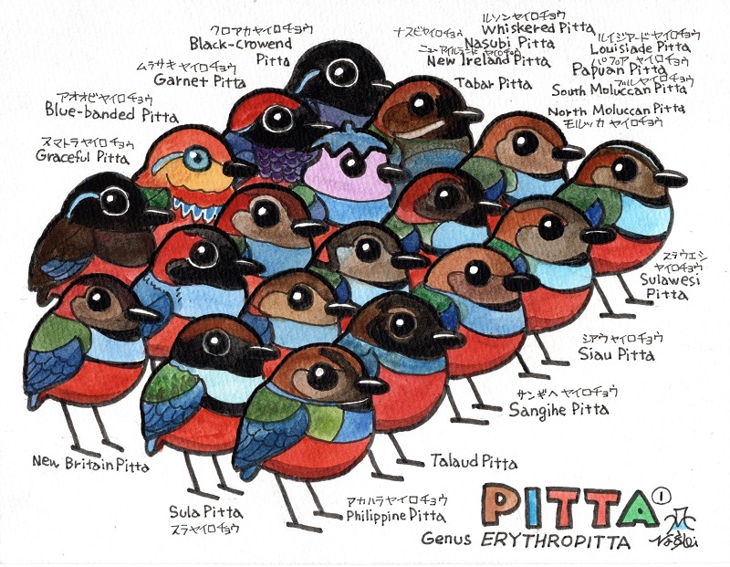 ふじたかなすびページ① ふじたかなすび様専用ページ① ふじたかなすび様専用ページ① 富士鷹