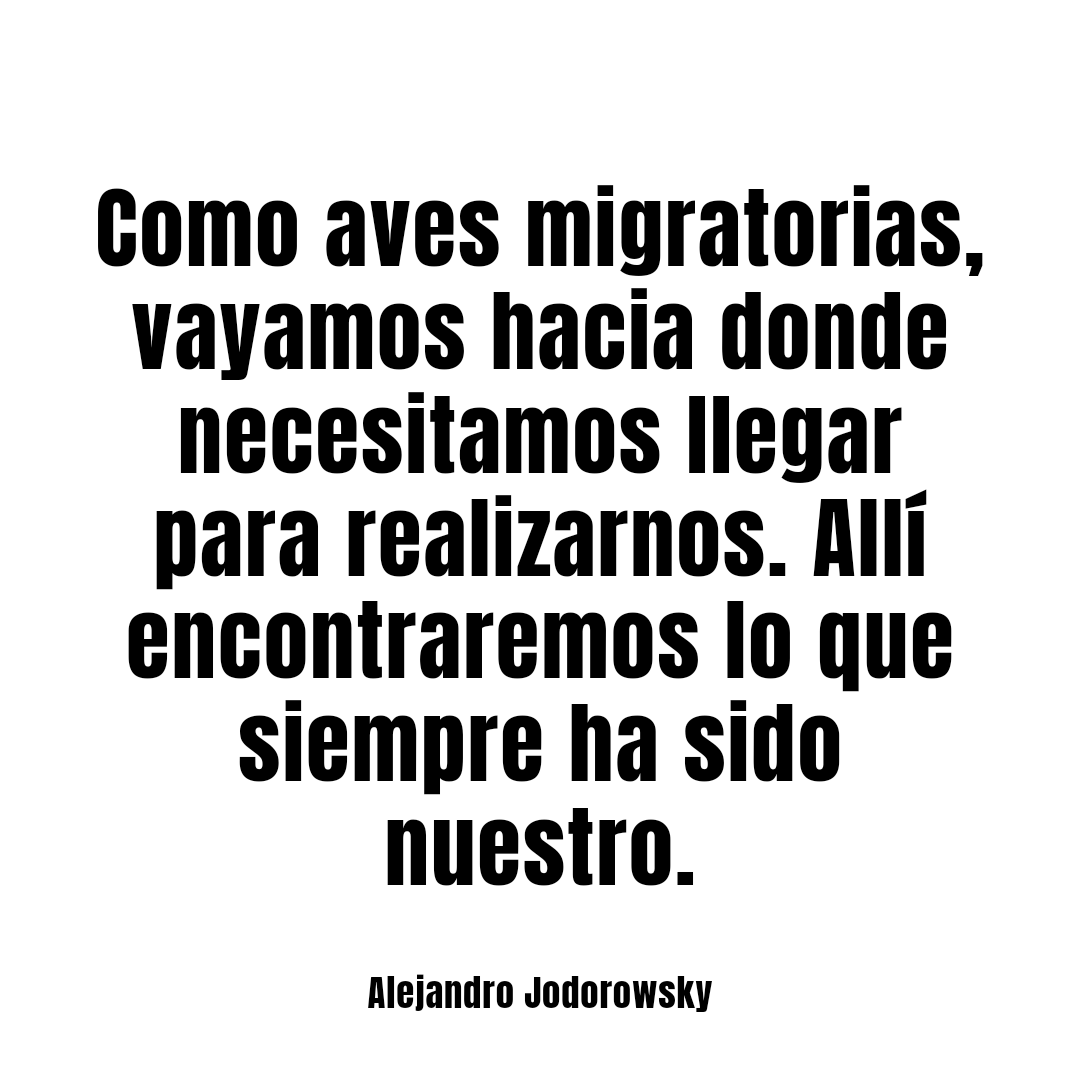 alejodorowsky's tweet photo. Como aves migratorias... https://t.co/l2sp1ECk2K