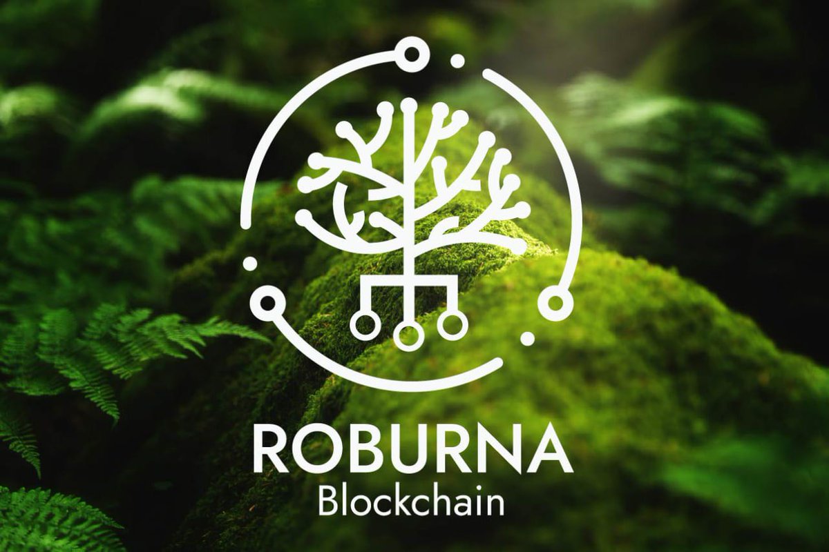 LCX_Highborn's tweet photo. 1/15🌳 Introducing @Roburnaofficial : an eco-friendly, Layer-1 , aiming to bring benefits of #blockchain to all, without harming the environment. The revolutionary consensus mechanism, Proof of Earn (#PoE), is the key to this inclusivity. But why is it so important? Let's dive in https://t.co/BkXTrLKZlm