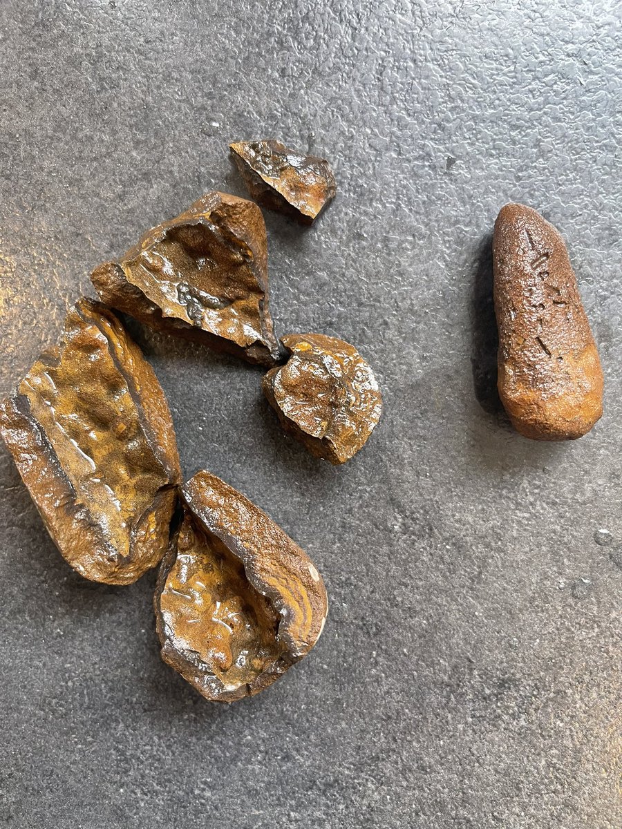 olanderofc's tweet image. Can anyone on #GeoTwitter help me out what this is? Found in the garden with some other rocks originally from the ocean. Cracked it open and this long stone was inside. All very rusty once cleaned. First guess is an egg? #geology #fossil