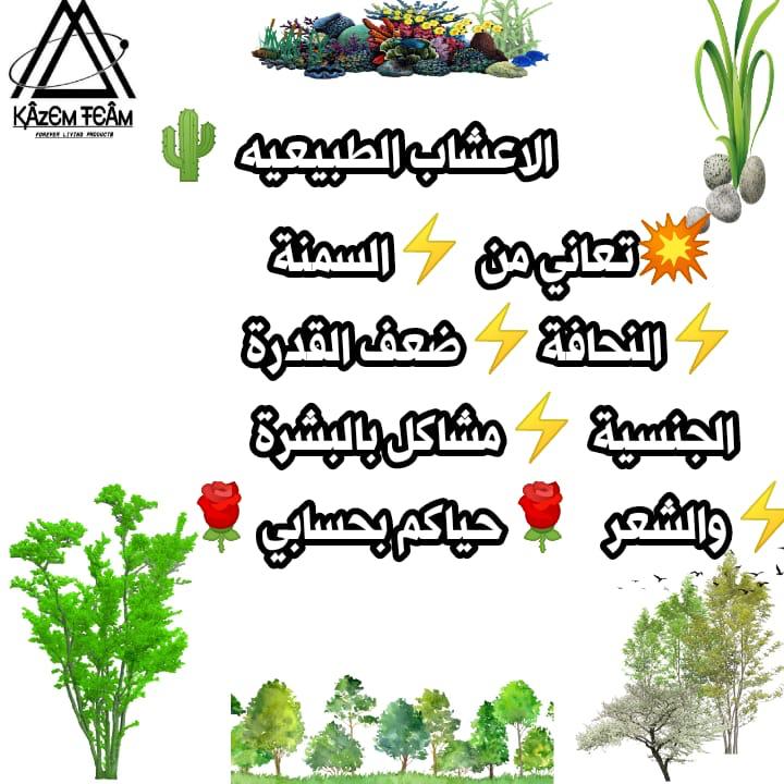 G98376's tweet photo. #النصر_الشباب
#تويتر_بحله_جديدهx #الراتب_مايكفي_الحاجة  #جبر_الخواطر  #عظم_الله_اجوركم  #يا_حسين https://t.co/cMvdkUYPcM