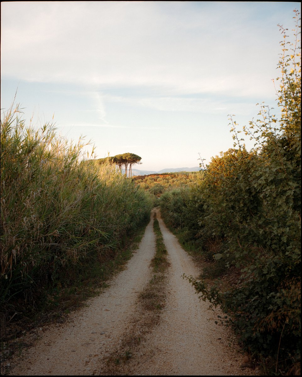 Raoul Pascal tweet media