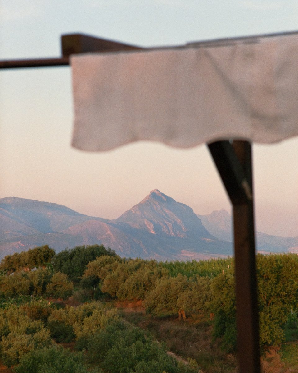 Raoul Pascal tweet media