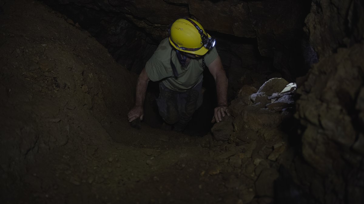 ello vidéo tweet media