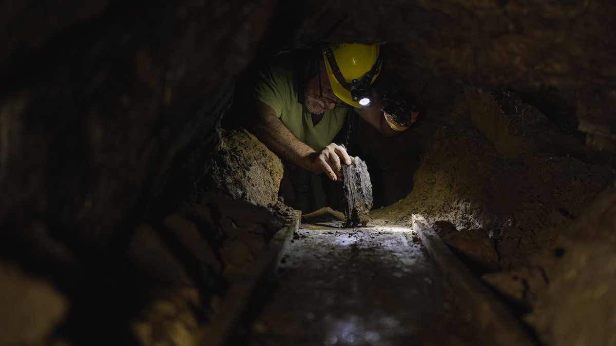 ello vidéo tweet media